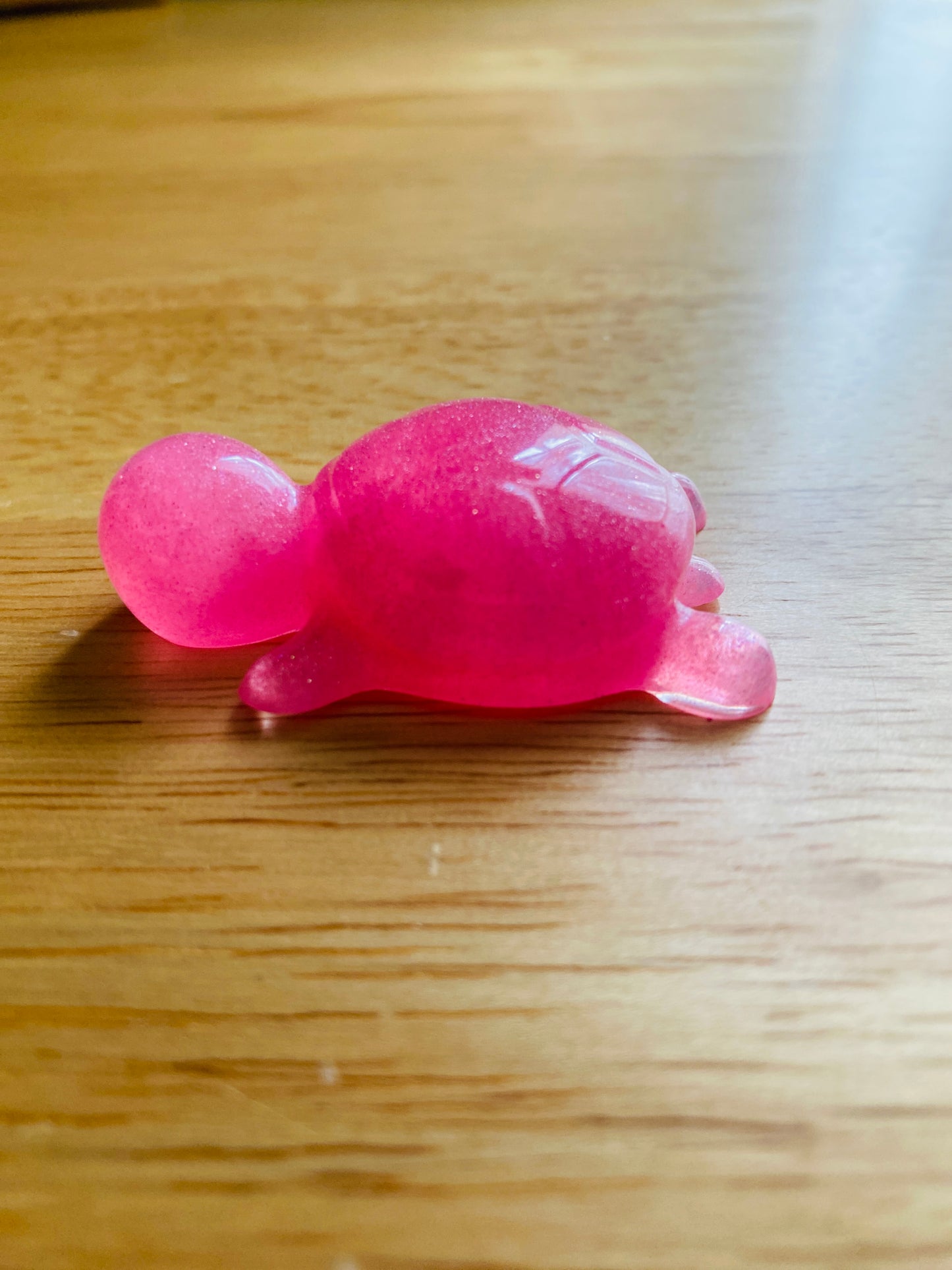 Miniature Turtle