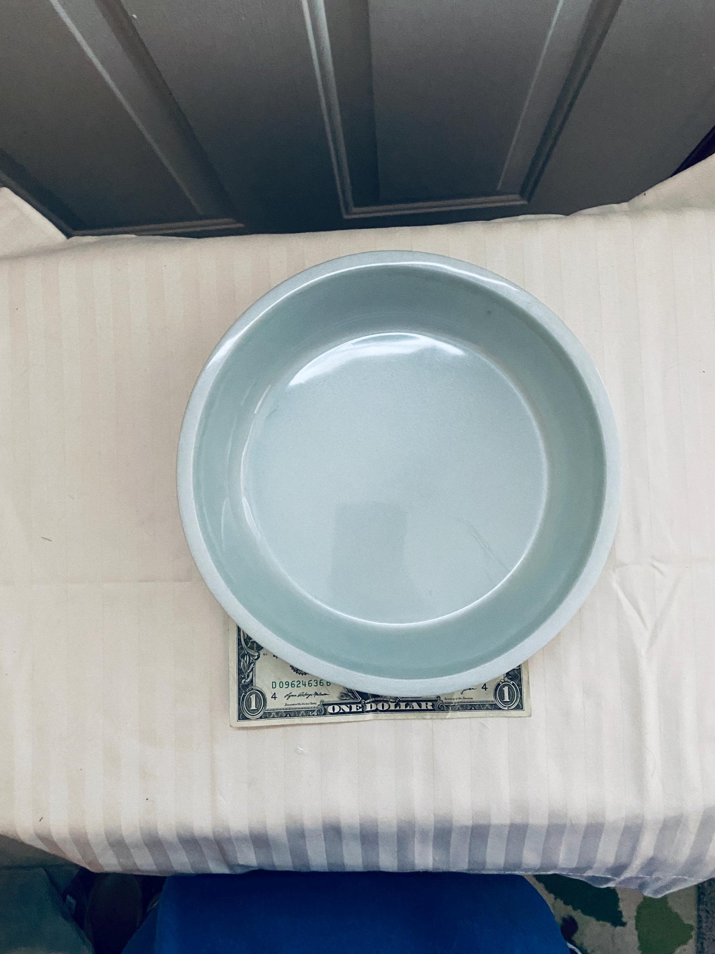 One of a kind hand-crafted very pale blue resin succulent garden bowl