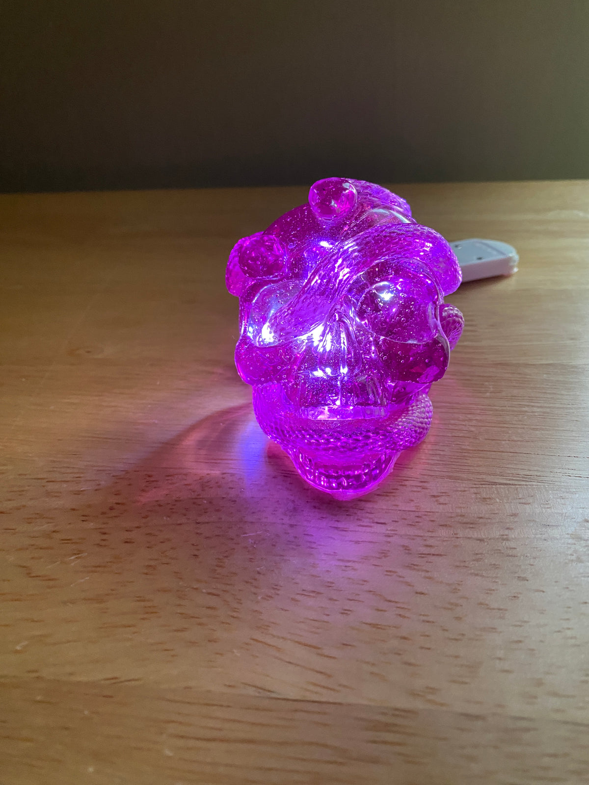 Light-Up Skull with Snakes