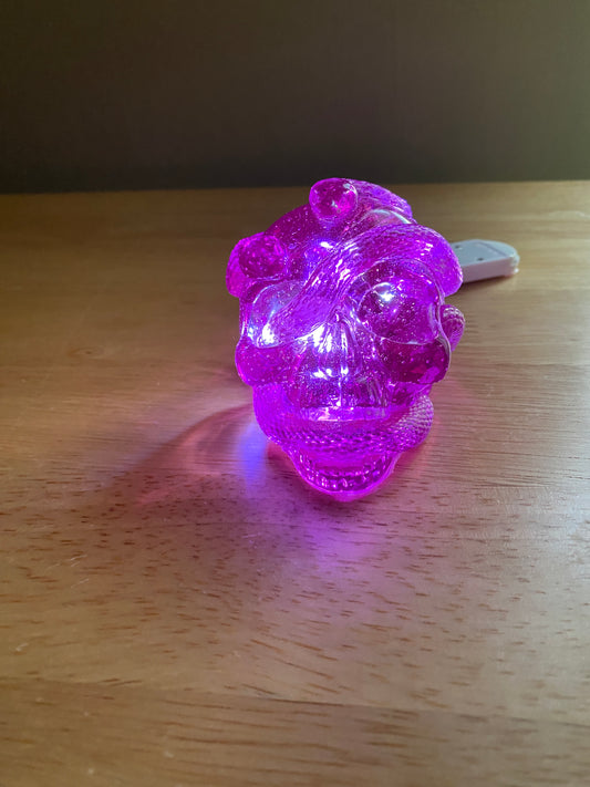 Light-Up Skull with Snakes