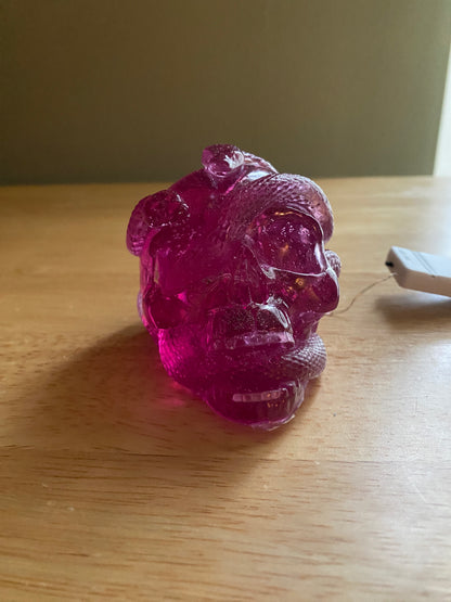 Skull with Snakes