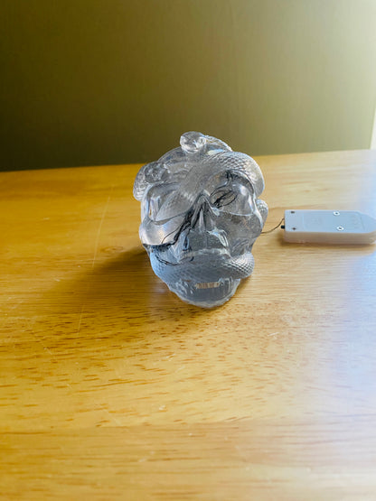 Skull with Snakes