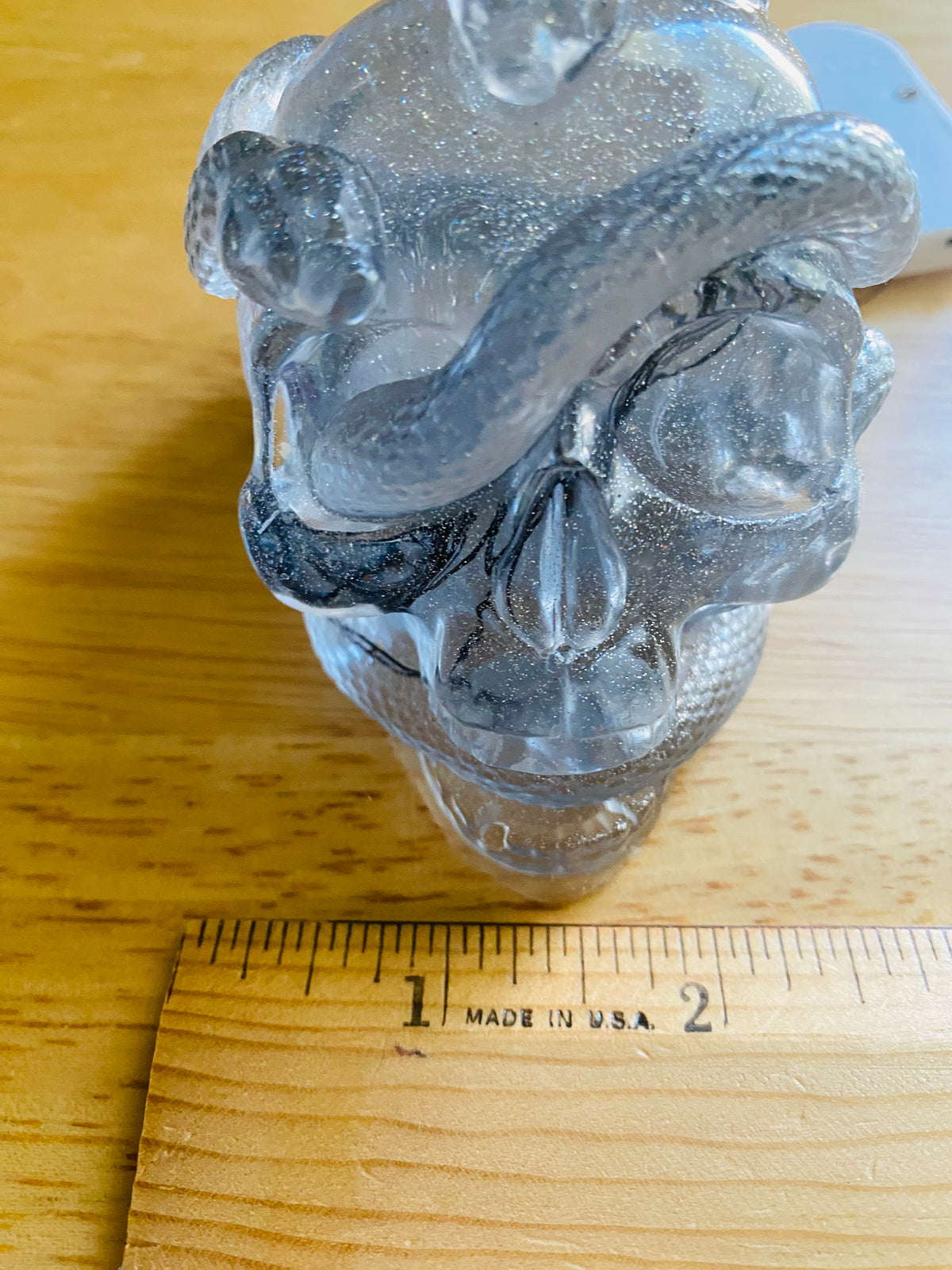 Skull with Snakes