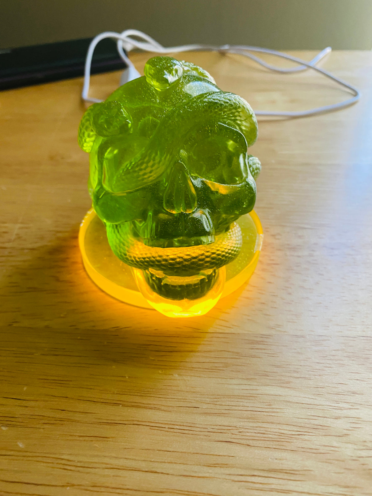 Skull with Snakes