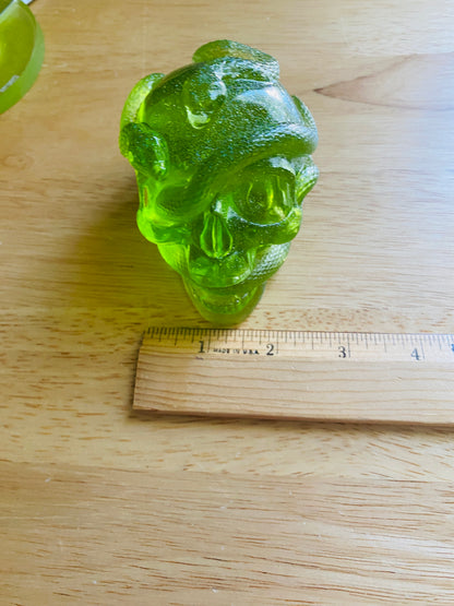 Skull with Snakes