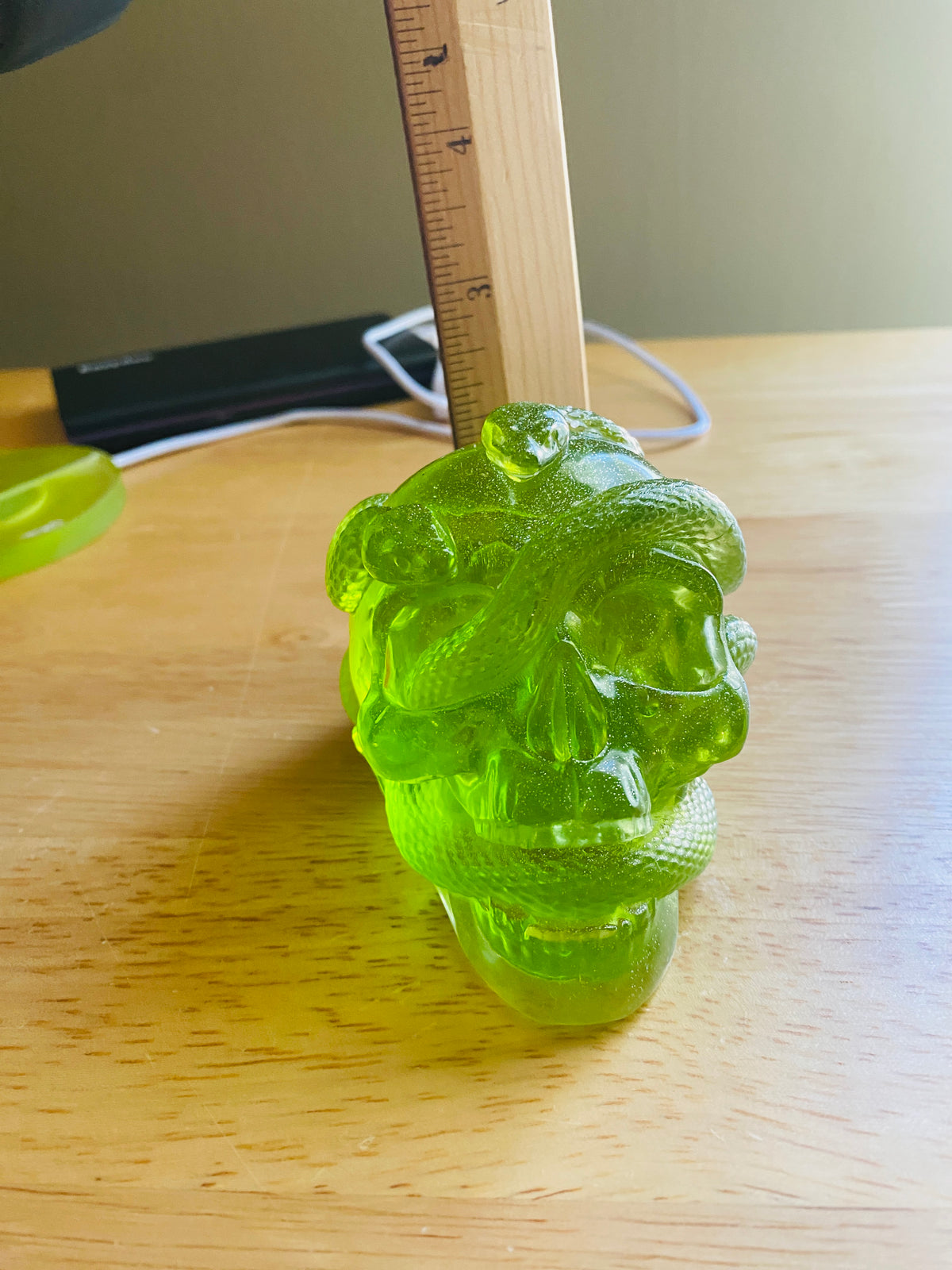 Skull with Snakes