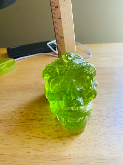 Skull with Snakes