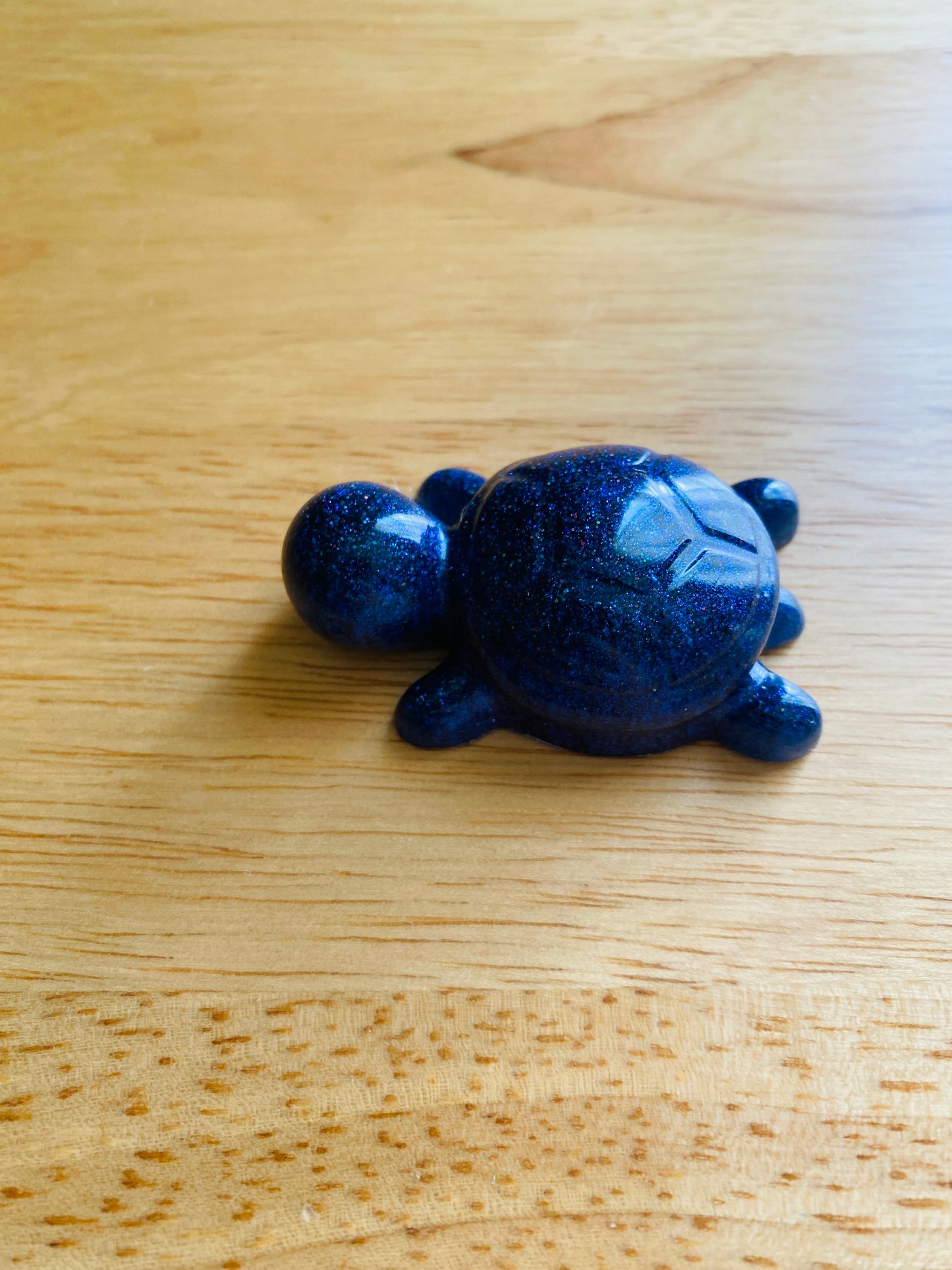 Miniature Turtle