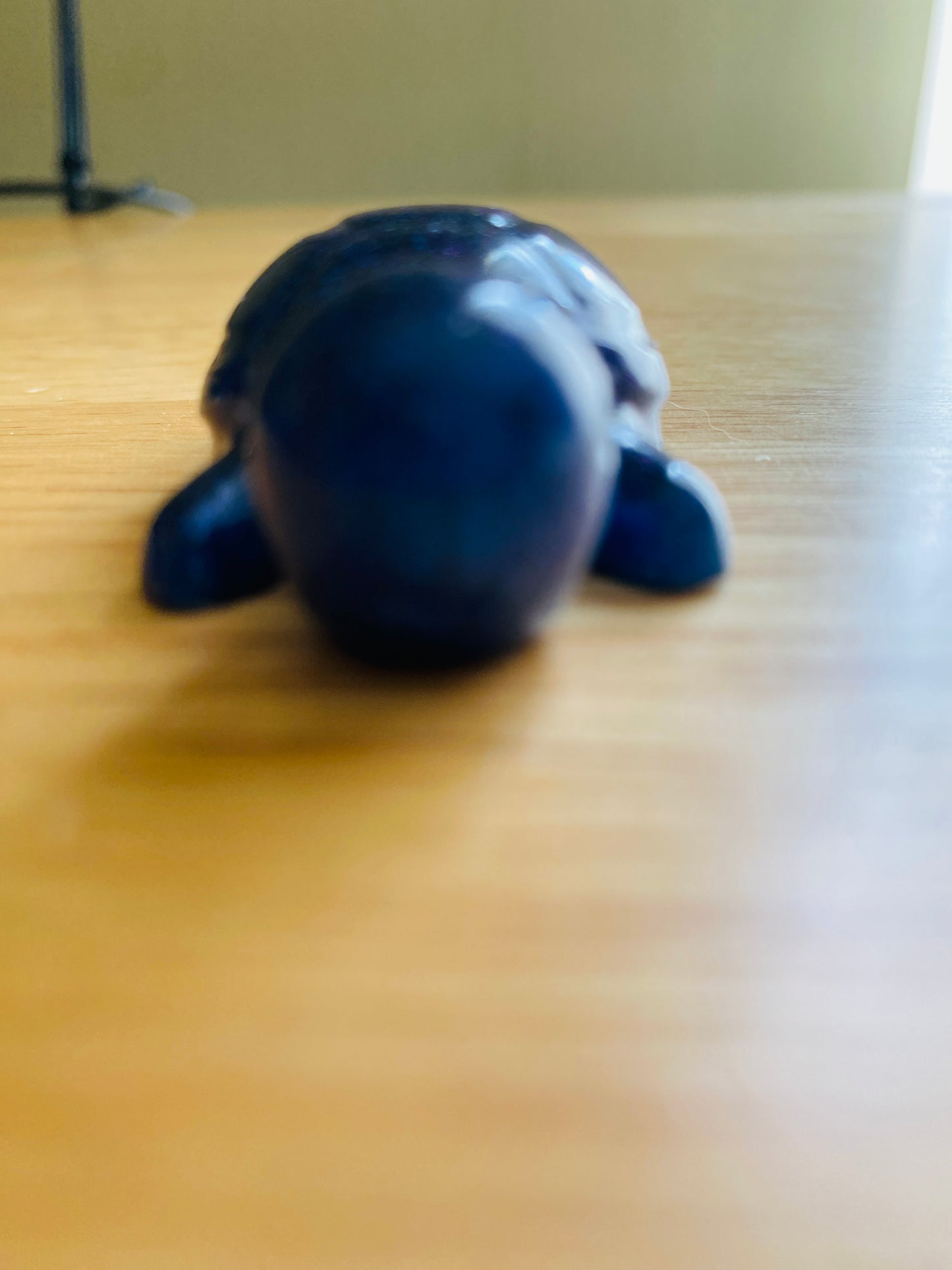Miniature Turtle
