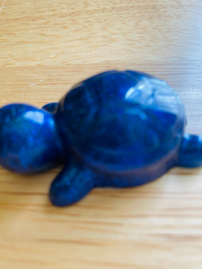 Miniature Turtle