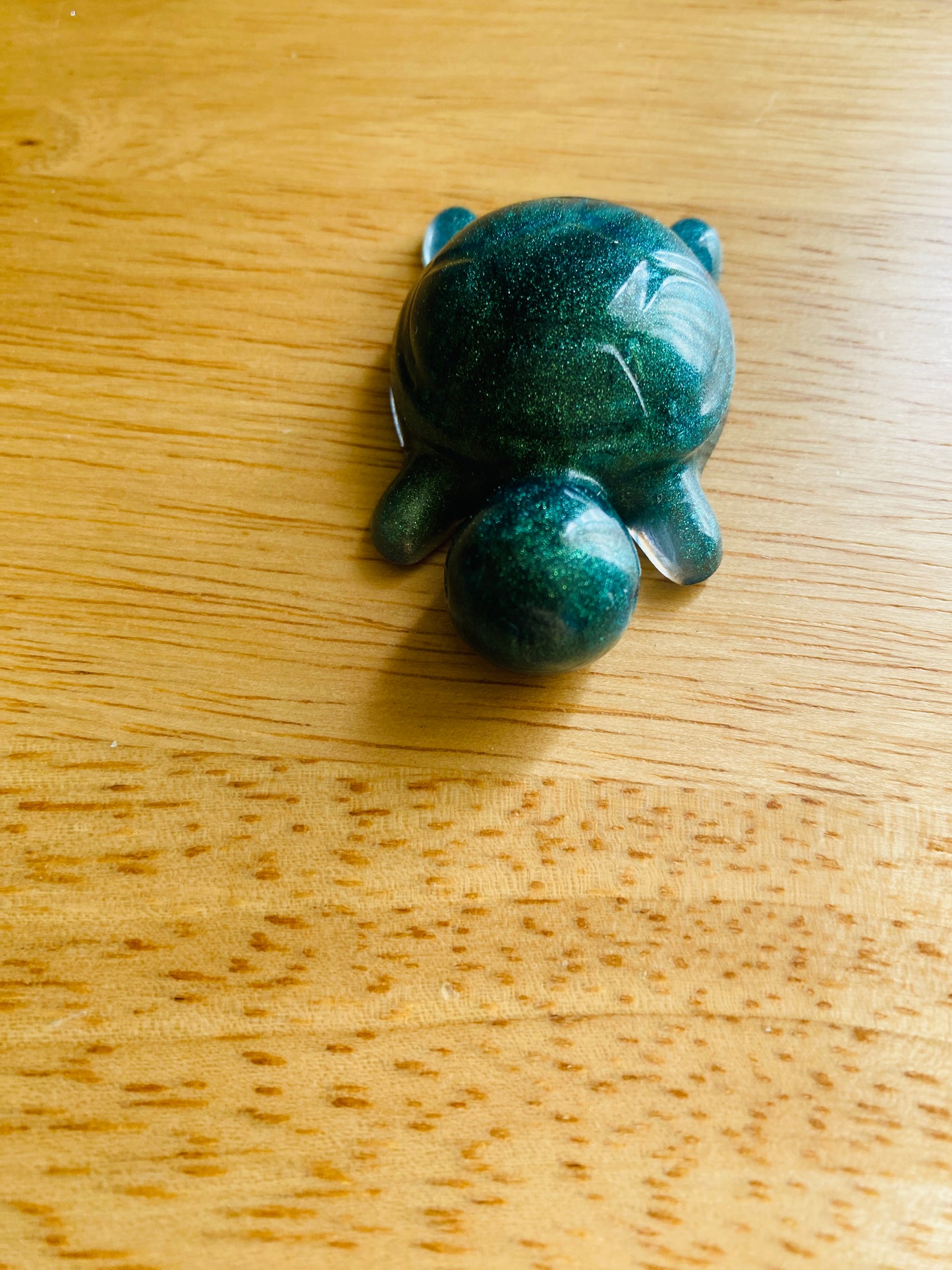 Miniature Turtle