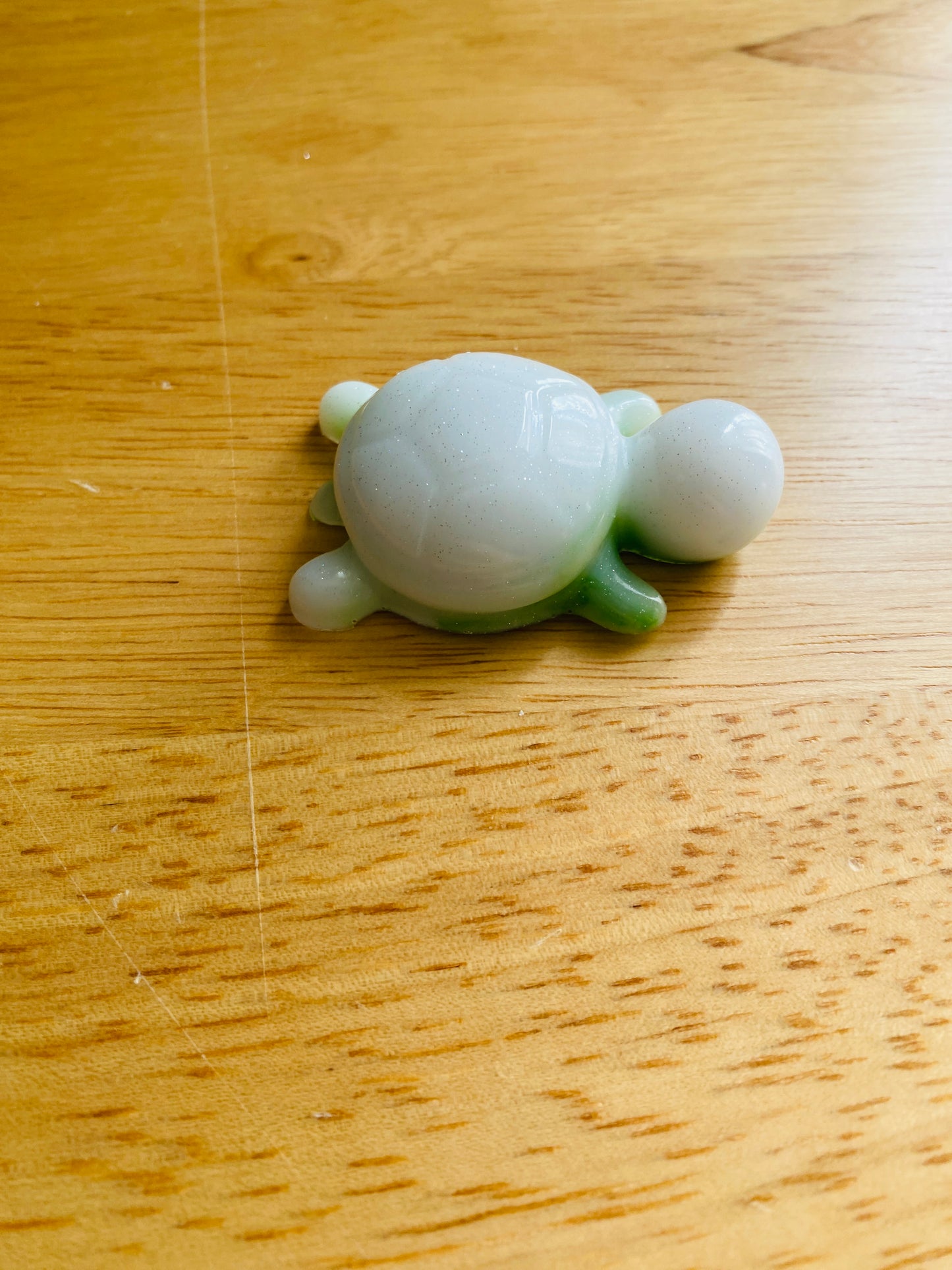 Miniature Turtle