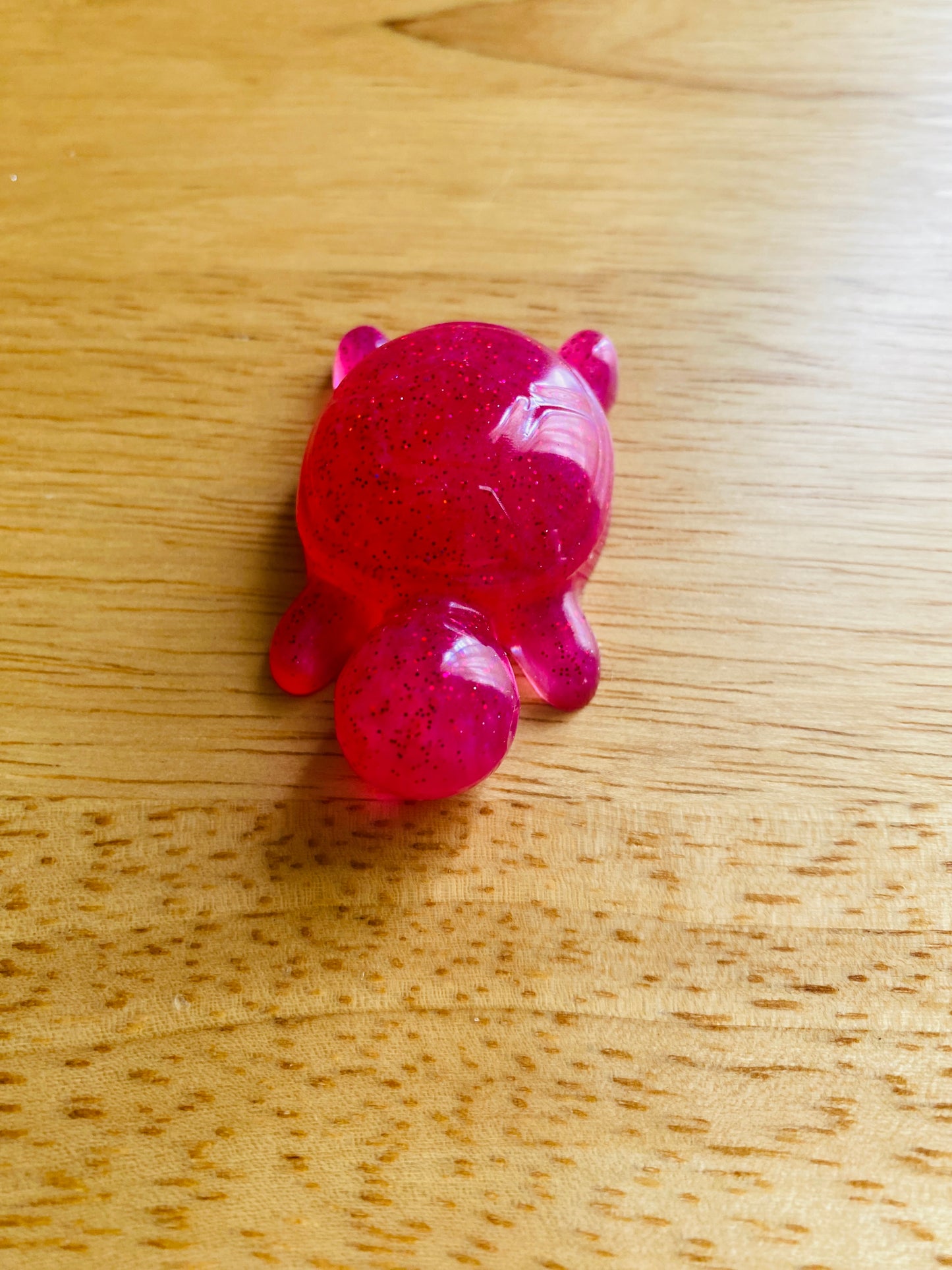 Miniature Turtle
