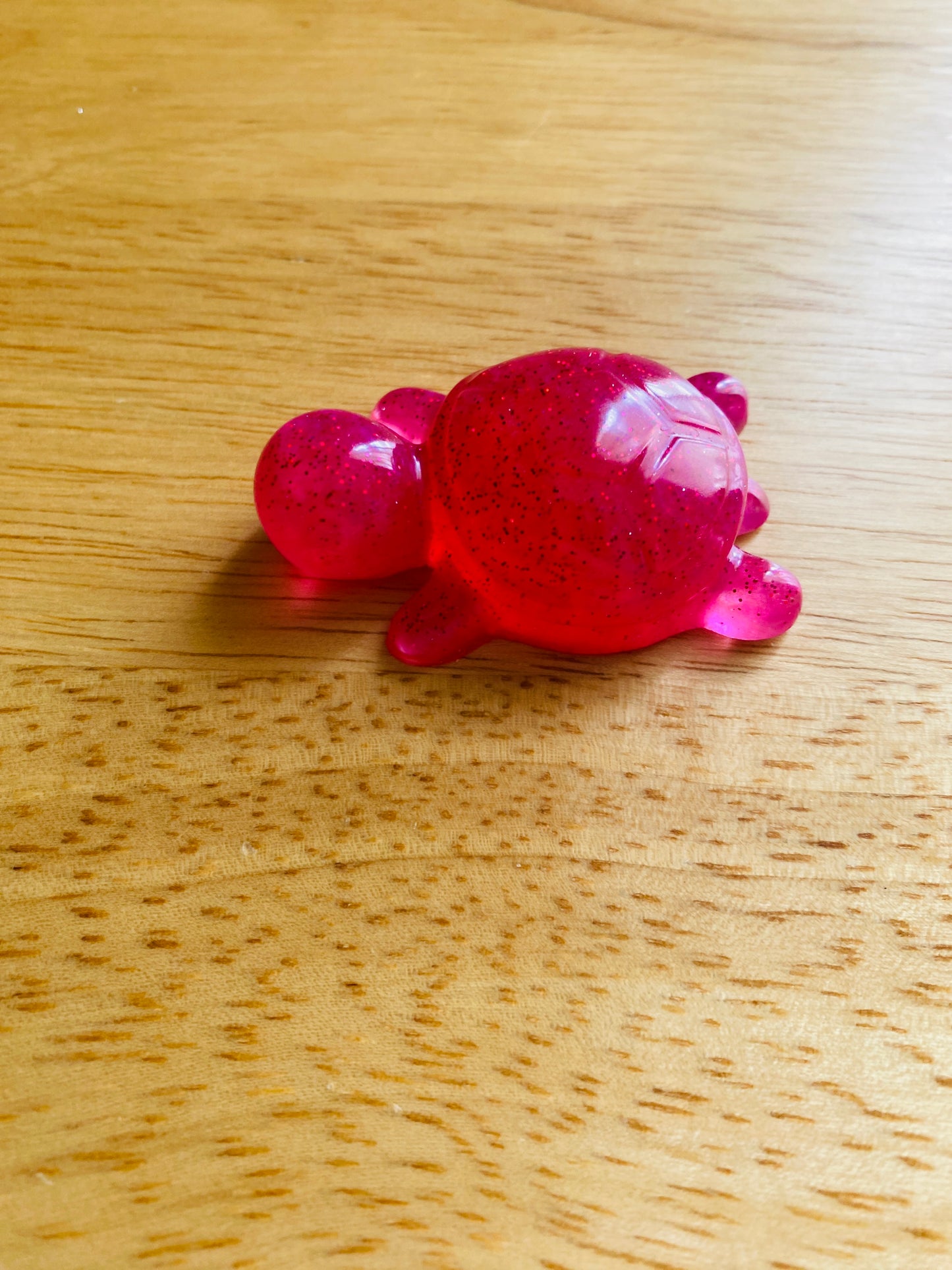 Miniature Turtle