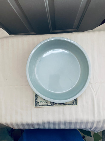 One of a kind hand-crafted very pale blue resin succulent garden bowl