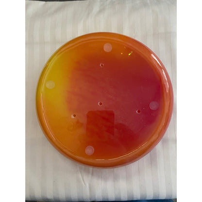 Sunrise resin succulent garden bowl set