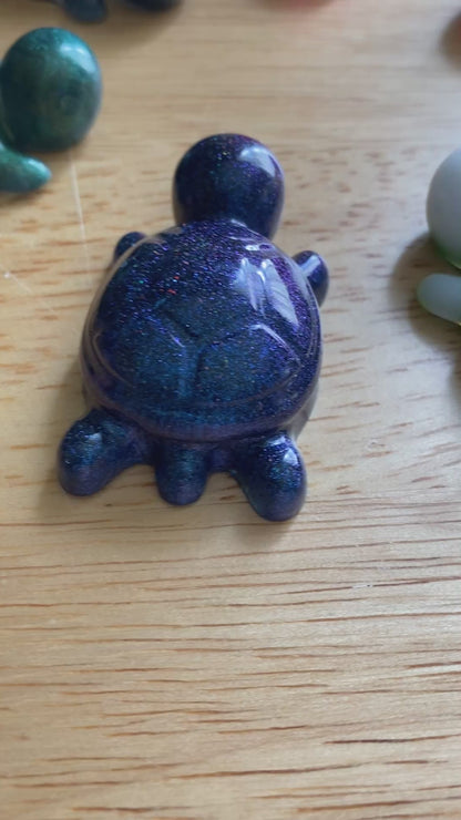 Miniature Turtle